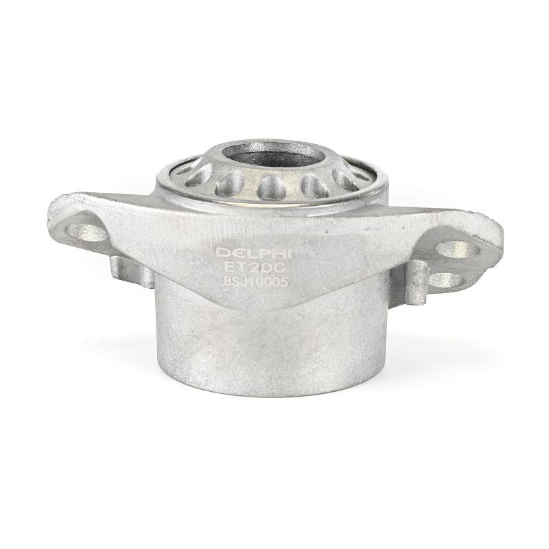 DELPHI Kit reparación, apoyo columna amortiguación BSJ10005