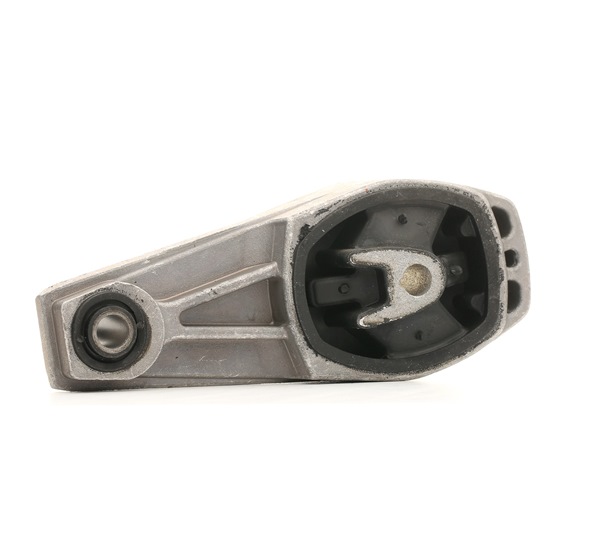 DELPHI TEM081 original OPEL Motorlager Kosten