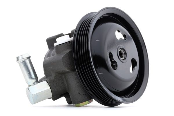 12H0132 Pompa idroguida RIDEX FORD C-MAX prezzo