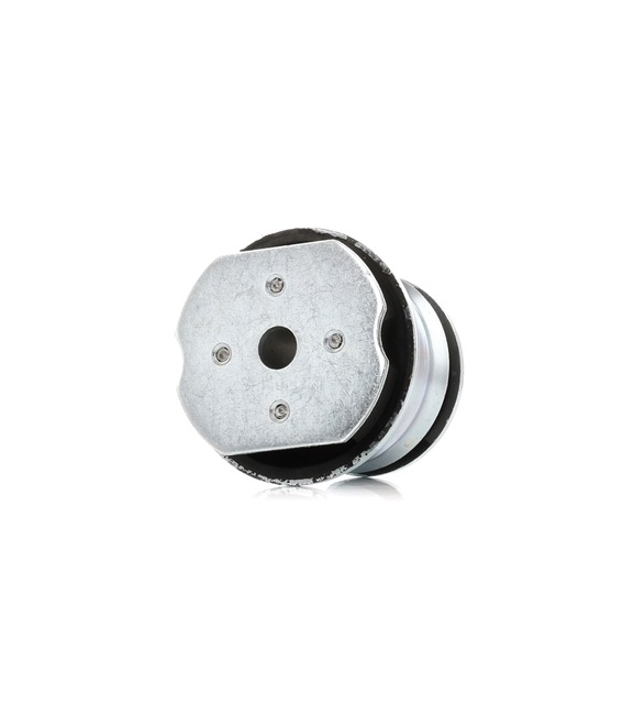 FAG 829 0489 10 Achskörperlager FIAT