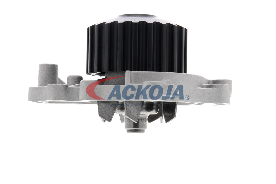 ACKOJA Pompe à eau A26-50011