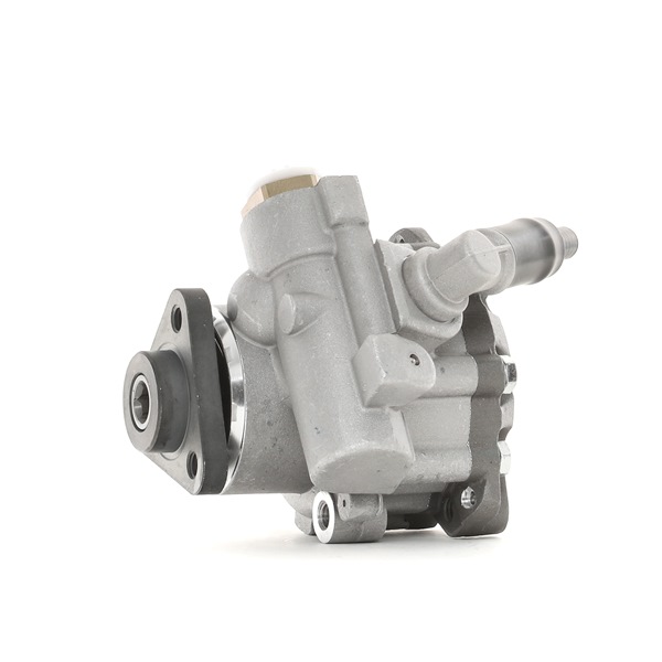 32411092817 OE RIDEX Vairo stiprintuvo siurblys 12H0174