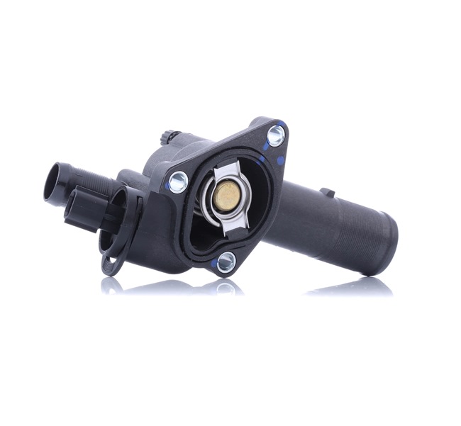 110605536R OE DAYCO Thermostat d'eau DT1075F
