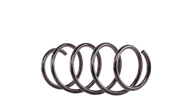 RENAULT MEGANE Coil spring MAXGEAR 60-0500