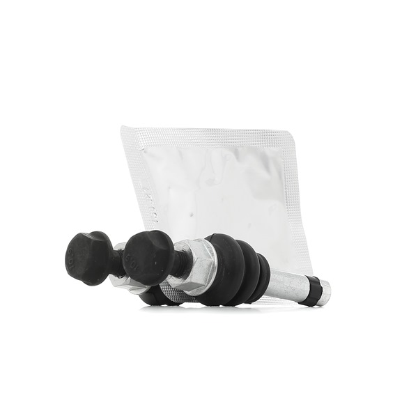 QUICK BRAKE 113-0001X Kit revisione pinze freno LEXUS GS prezzo