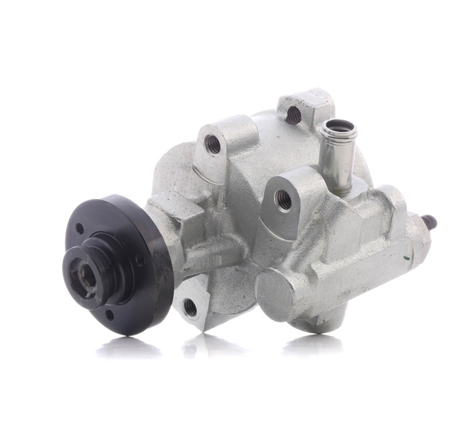 STARK SKHP-0540182 Bomba de dirección RENAULT MEGANE Scenic (JA0/1_) 1.9 D Gasóleo 64 cv 1999 precio