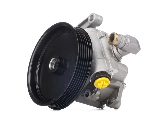 A0044667601 OE RIDEX Pompe de direction assistée 12H0202