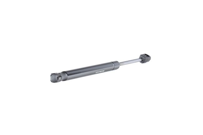 219G0918 RIDEX 84ABL406A10AA Heckklappendämpfer