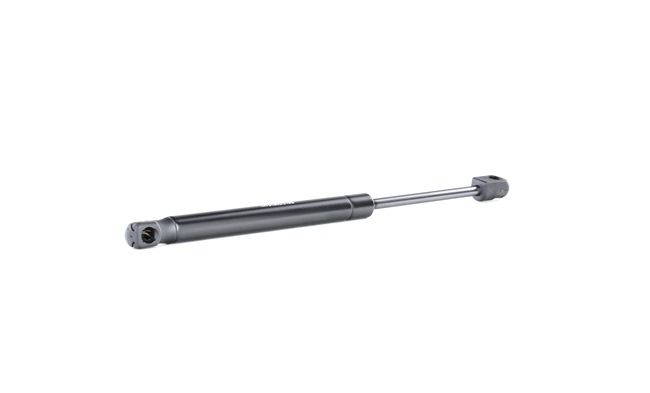 RIDEX 219G0922 Kofferraum CHEVROLET Epica KL1 2.5 Benzin 156 PS 2011