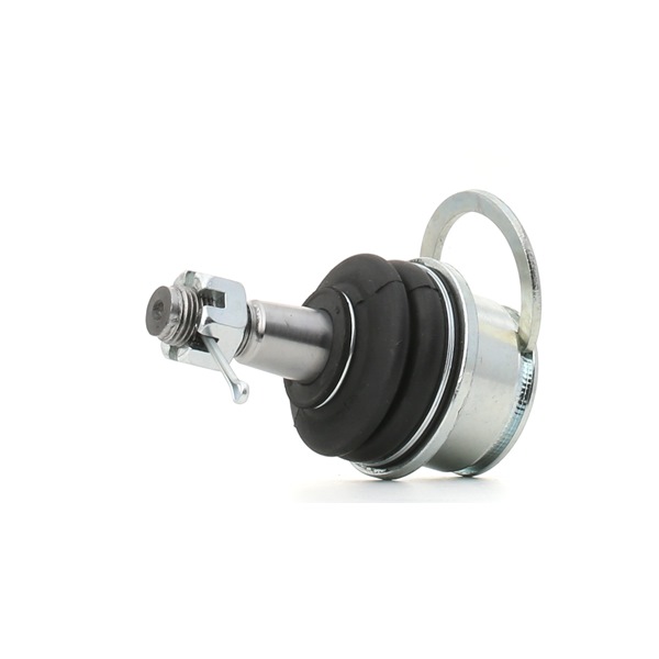 4806960040 OE RIDEX Bærekugle 2462S0419