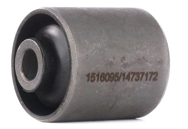 RIDEX 1080M0017 Achteraslager CITROЁN JUMPY Open laadbak/ Chassis (BU_, BV_, BW_, BX_) 2.0 Benzine 136 Pk 2006 kosten