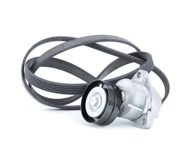 9201850 OE RIDEX Jeu de courroies trapézoïdales à nervures 542R0050