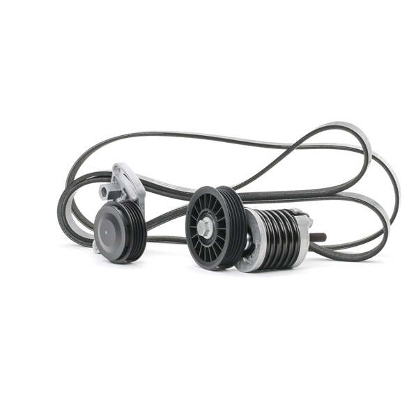 050903137C OE RIDEX Поликлиновой ременный комплект 542R0060