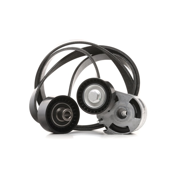 Y40115908 OE RIDEX Kileremsett 542R0062