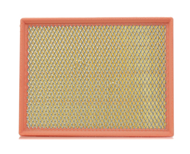 Motorluftfilter FILTRON AP 074/8