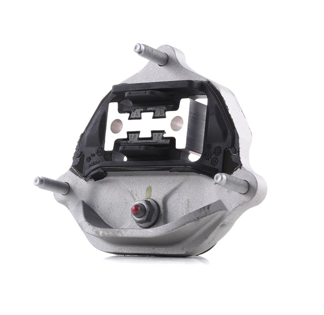 MEYLE 100 399 0205 ašies montavimas Audi A4 B8