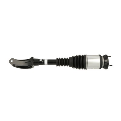 A1663233100 OE Arnott Air suspension strut AS-3155