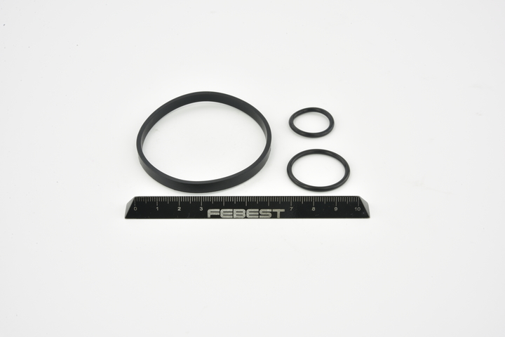 FEBEST RINGOL-039-KIT Ölkühler-Dichtung RENAULT CLIO 2 (BB0/1/2, CB0/1/2) 1.6 Flex 110 PS Benzin/Ethanol 2000