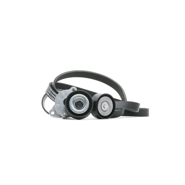 RIDEX 55562865 Moniurahihnasarja 542R0076