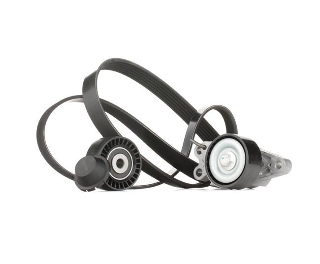 STARK SKRBS-1200076 Poly v riem set PEUGEOT 206 Hatchback (2A/C) 1.4 16V Benzine 88 Pk 2006 kosten