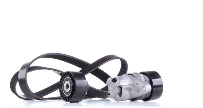 RIDEX 542R0077 Poly v riemen kit Peugeot 206 2a/c 1.4 16V Benzine 88 Pk 2007 kosten