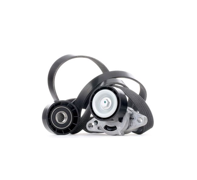 RIDEX 542R0082 Комплект поликлинового ремня RENAULT CLIO 2 (BB0/1/2, CB0/1/2) 1.6 (BB01, BB1J) бензин 110 л.с. 2007