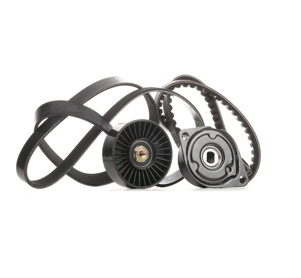 RIDEX 542R0099 Kileremssæt Passat 3a5 1.9 TD Diesel 75 HK 1995 pris