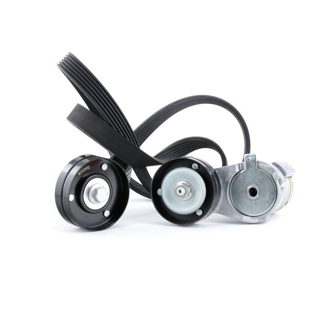 STARK SKRBS-1200106 Kit de courroie d'accessoire VW Bora 1j2 1.6 FSI Essence 110 CV 2004