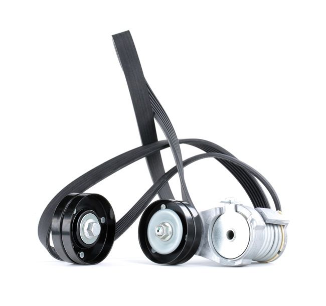 RIDEX 542R0107 Комплект поликлинового ремня VW BORA универсал (1J6) 1.6 16V бензин 105 л.с. 2002