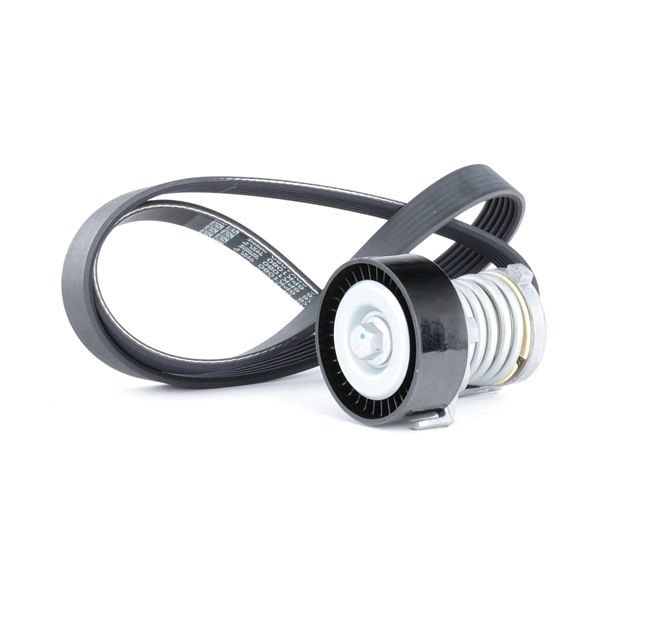 5750TH OE RIDEX Kileremsett 542R0134