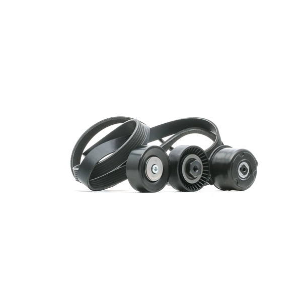 RIDEX 542R0144 Keilrippenriemensatz BMW 5er E60 530d 3.0 218 PS Diesel 2002