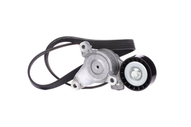 RIDEX 542R0148 Поликлиновой ремень CITROËN C4 Picasso 1 (UD_) 1.8 Bifuel Бензин/этанол 125 л.с. 2010