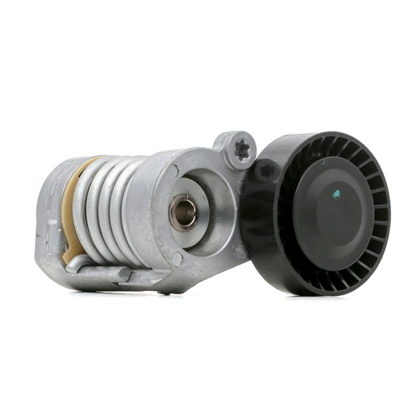 RIDEX 310T0296 Rodillo tensor VOLVO C70 2 Cabriolet 2.4 i Gasolina 170 cv 2008 precio