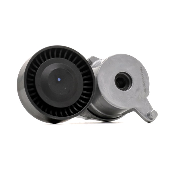 166200Q010 OE RIDEX Rolo tensor, correia trapezoidal estriada 310T0300