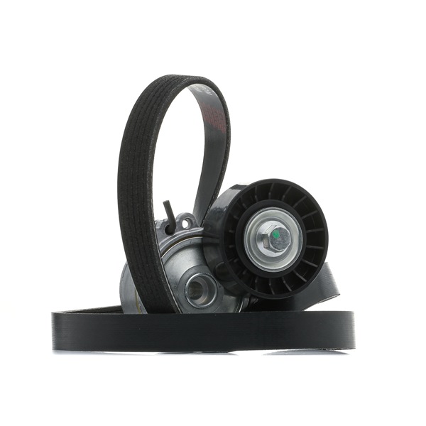 Keilrippenriemensatz RIDEX 542R0189