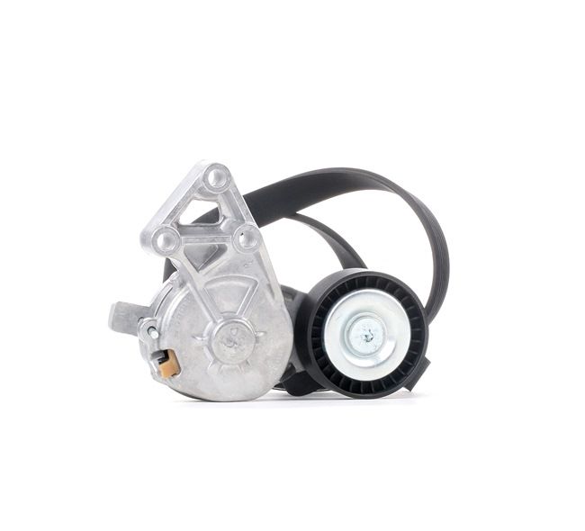 RIDEX 542R0193 Kit cinghie poly-v VOLKSWAGEN Transporter T5 Bus (7HB, 7HJ, 7EB, 7EJ, 7EF, 7EG, 7HF, 7EC) 1.9 TDI Diesel 102 CV 2008 prezzo