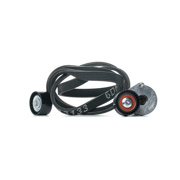 STARK SKRBS-1200201 Poly v riem set BMW 3-Serie E90 318d 2.0 Diesel 143 Pk 2010 kosten