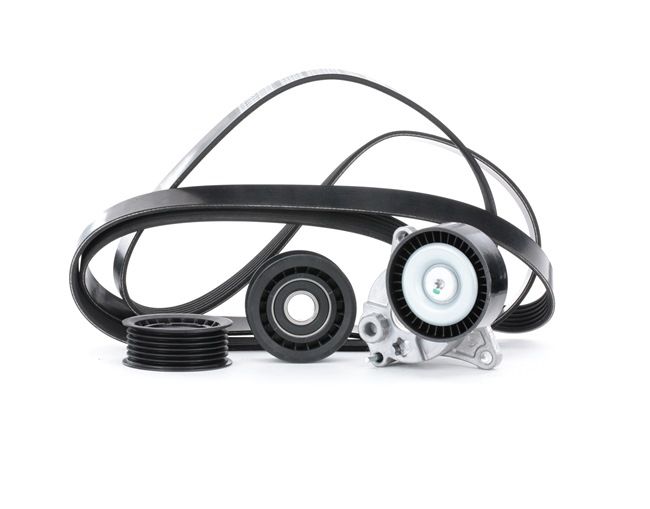 A6462000570 OE RIDEX Jogo de correias trapezoidais estriadas 542R0210
