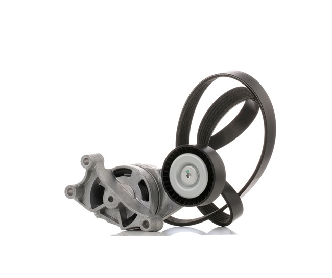 06F260849L OE RIDEX V formos rumbuotas diržas, komplektas 542R0211