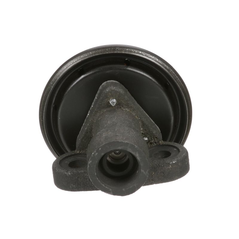 DELPHI EG10244-11B1