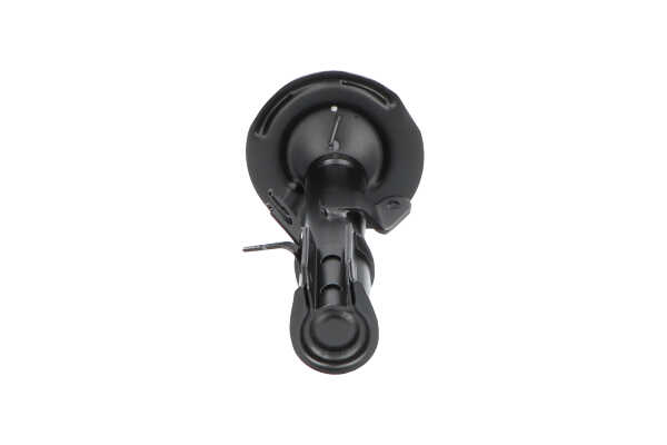 Shock absorber KAVO PARTS SSA-10099 suitable for FIAT at cheap price
