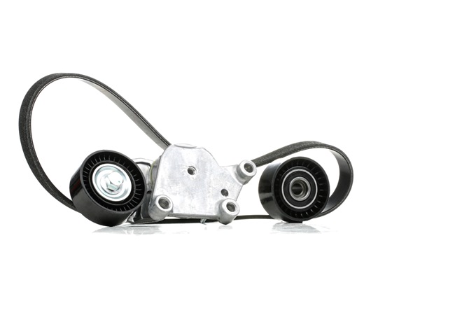 Y65015980A OE RIDEX Komplet rebrastega jermena 542R0226