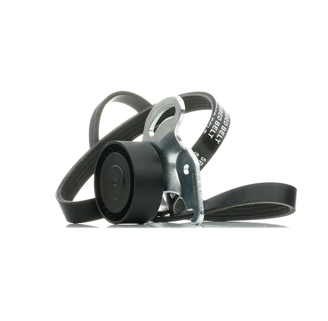 RIDEX 542R0231 Kit de courroie d'accessoire RENAULT Modus / Grand Modus (F, JP) 1.6 Essence 88 CV 2025 prix