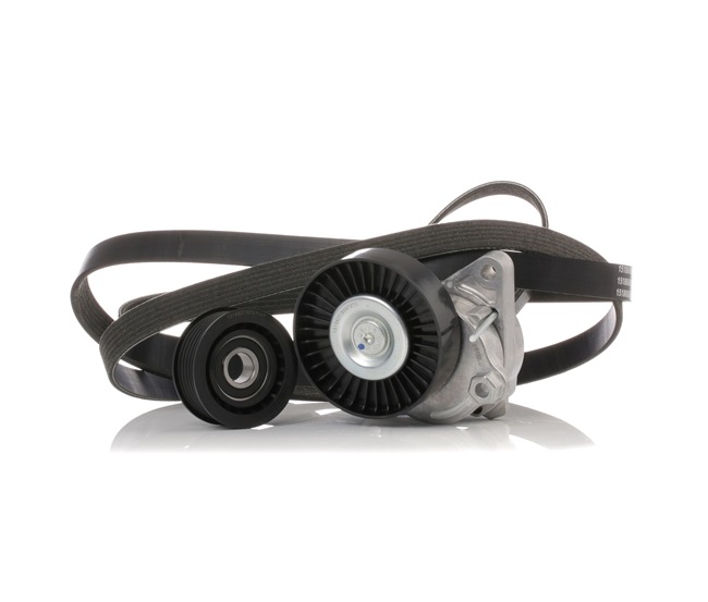 A1122000970 OE RIDEX Jeu de courroies trapézoïdales à nervures 542R0252
