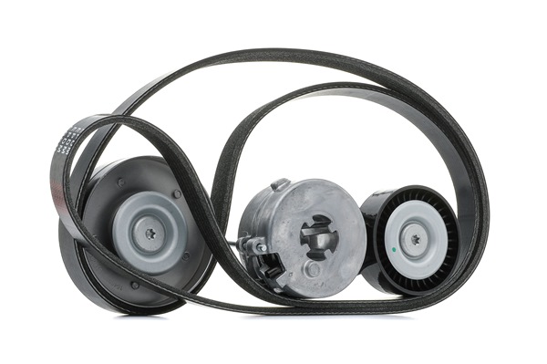 RIDEX 542R0277 Serpentine belt AUDI A4 Avant (8K5, B8) 1.8 TFSI quattro Petrol 160 hp 2008 price