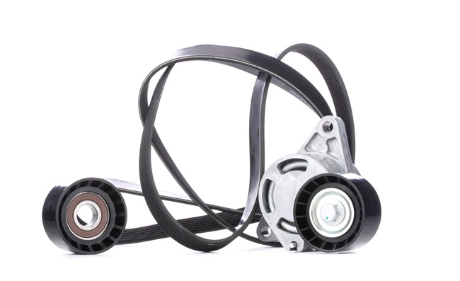 RIDEX 9121113 Moniurahihnasarja 542R0282