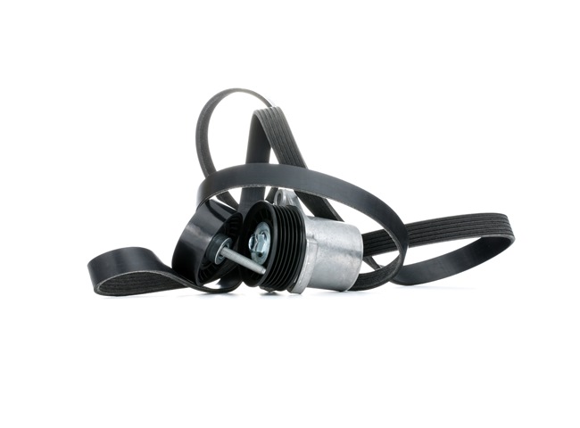 RIDEX 542R0286 Multiriem FORD S-MAX (WA6) 2.0 Flexifuel Benzine/Ethanol 145 Pk 2014 kosten