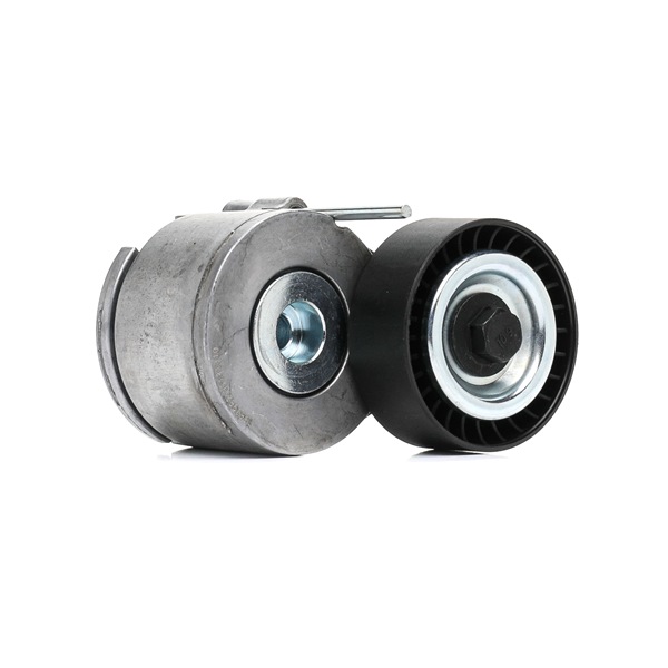 RIDEX 540T0028 Tensor de correa FIAT Fiorino MPV (225) 1.3 JTD Multijet (225BXB1A, 225BXB11) Gasóleo 75 cv 2009 precio