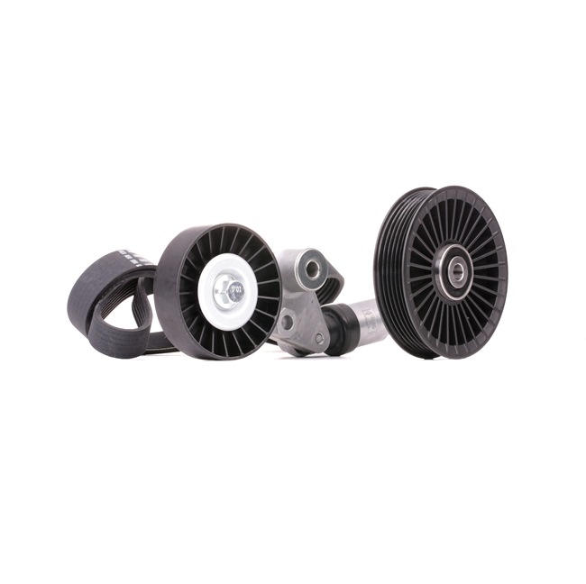 24413294 OE RIDEX Kileremsett 542R0293