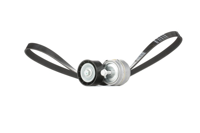 STARK SKRBS-1200294 Kit de correa de accesorios Lybra Berlina (839) 1.9 JTD (839.AXI1A, 839.AXN1A, 839.CXL1A) Gasóleo 116 cv 2002 precio